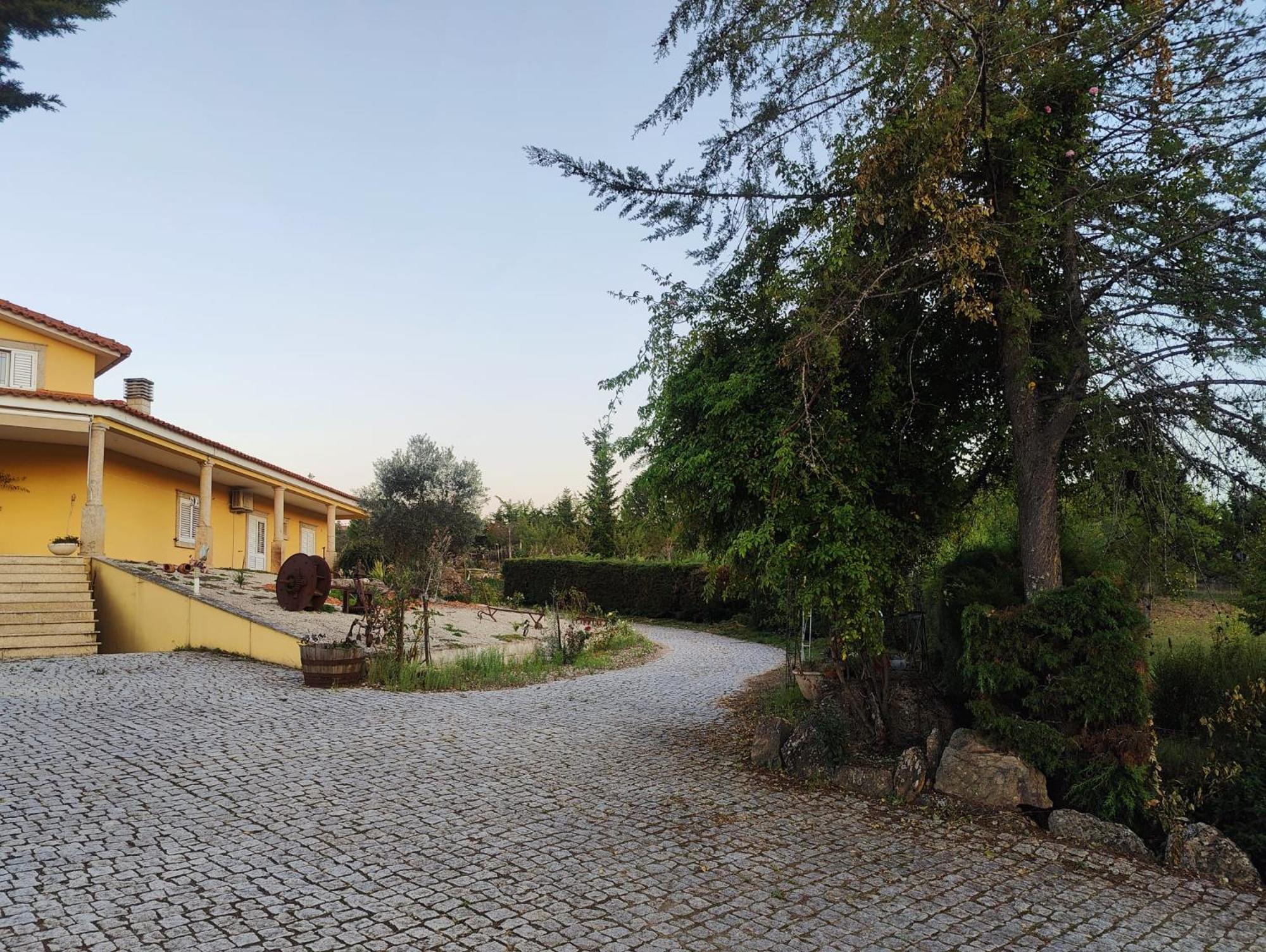 Quinta Da Libelinha Alojamento Local - Mirandela Buitenkant foto